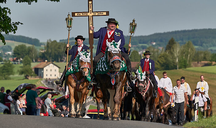Wandern im Lamer Winkel - Woidlife